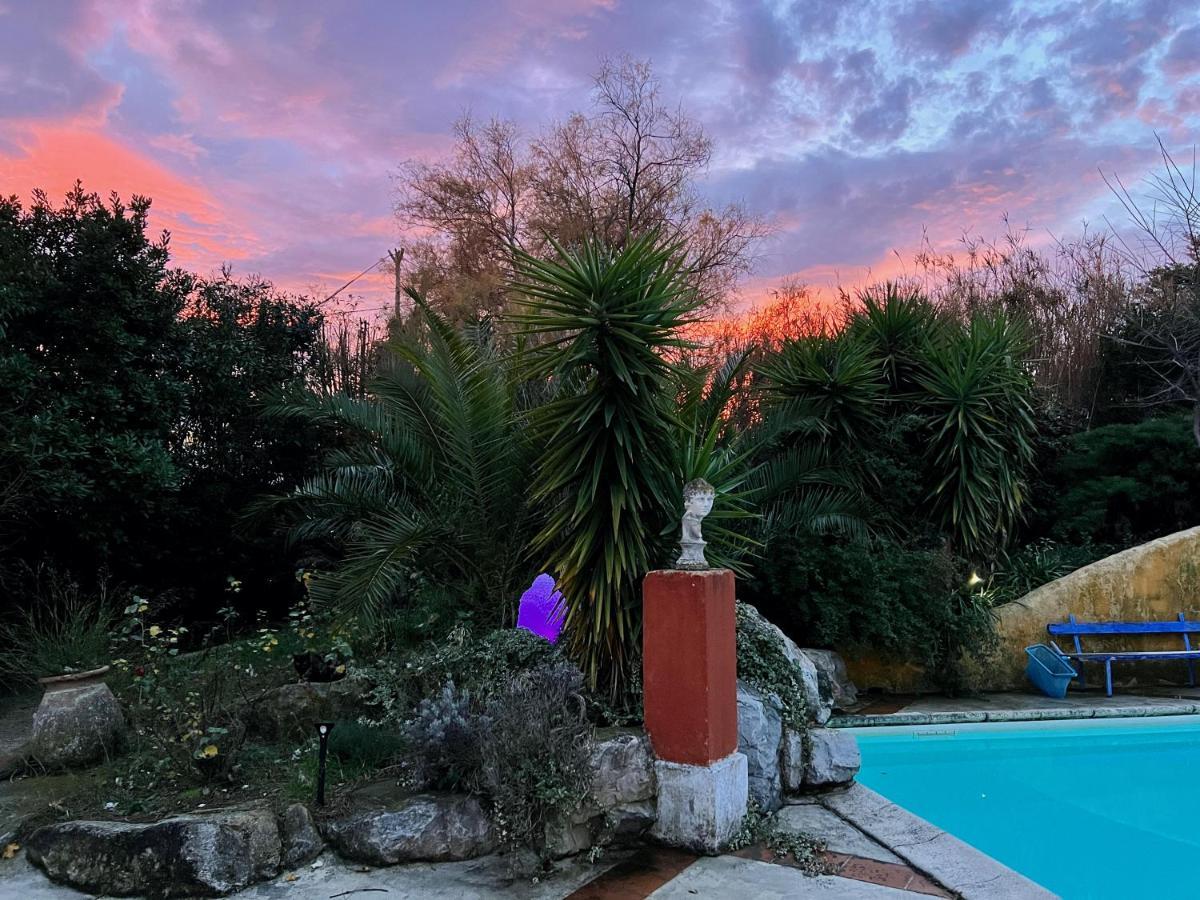 Le Clos De L'Isle Arles Bagian luar foto