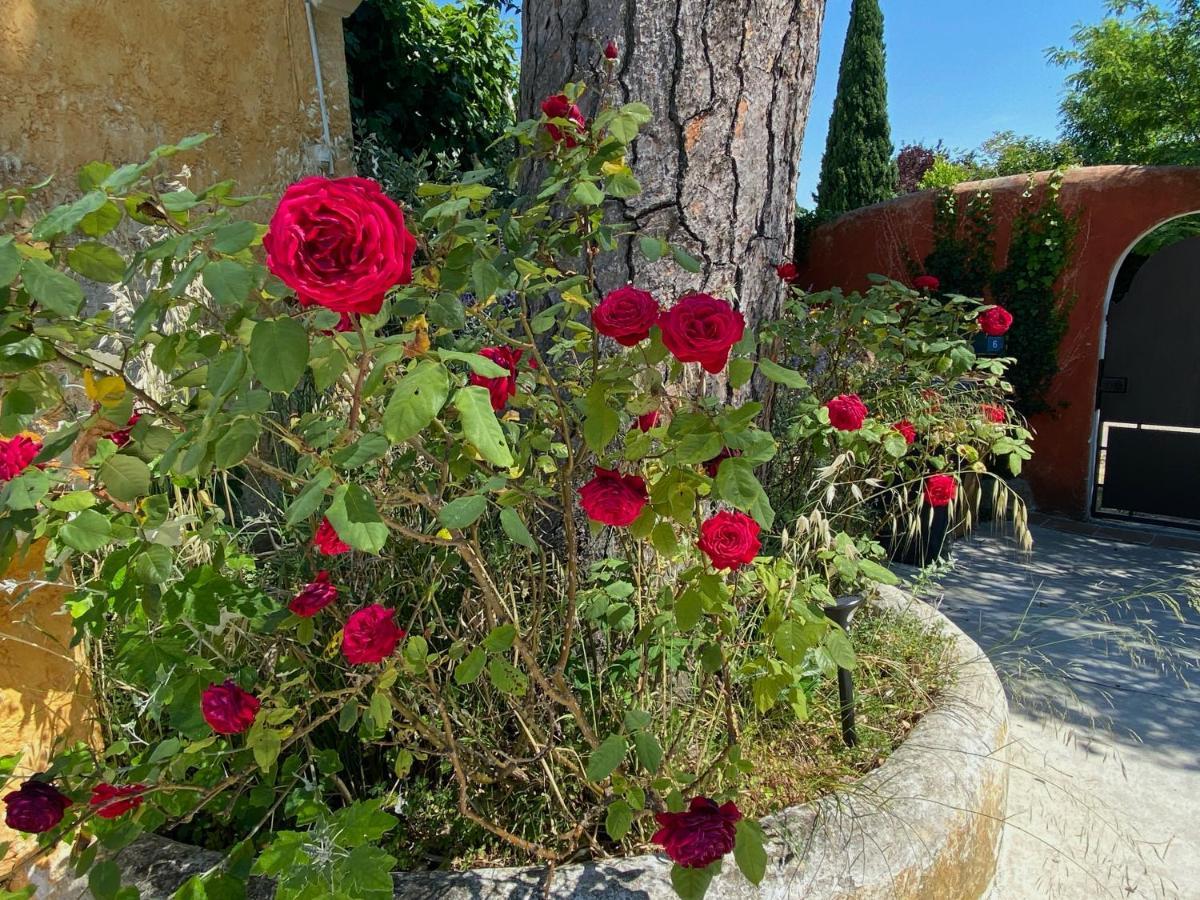 Le Clos De L'Isle Arles Bagian luar foto